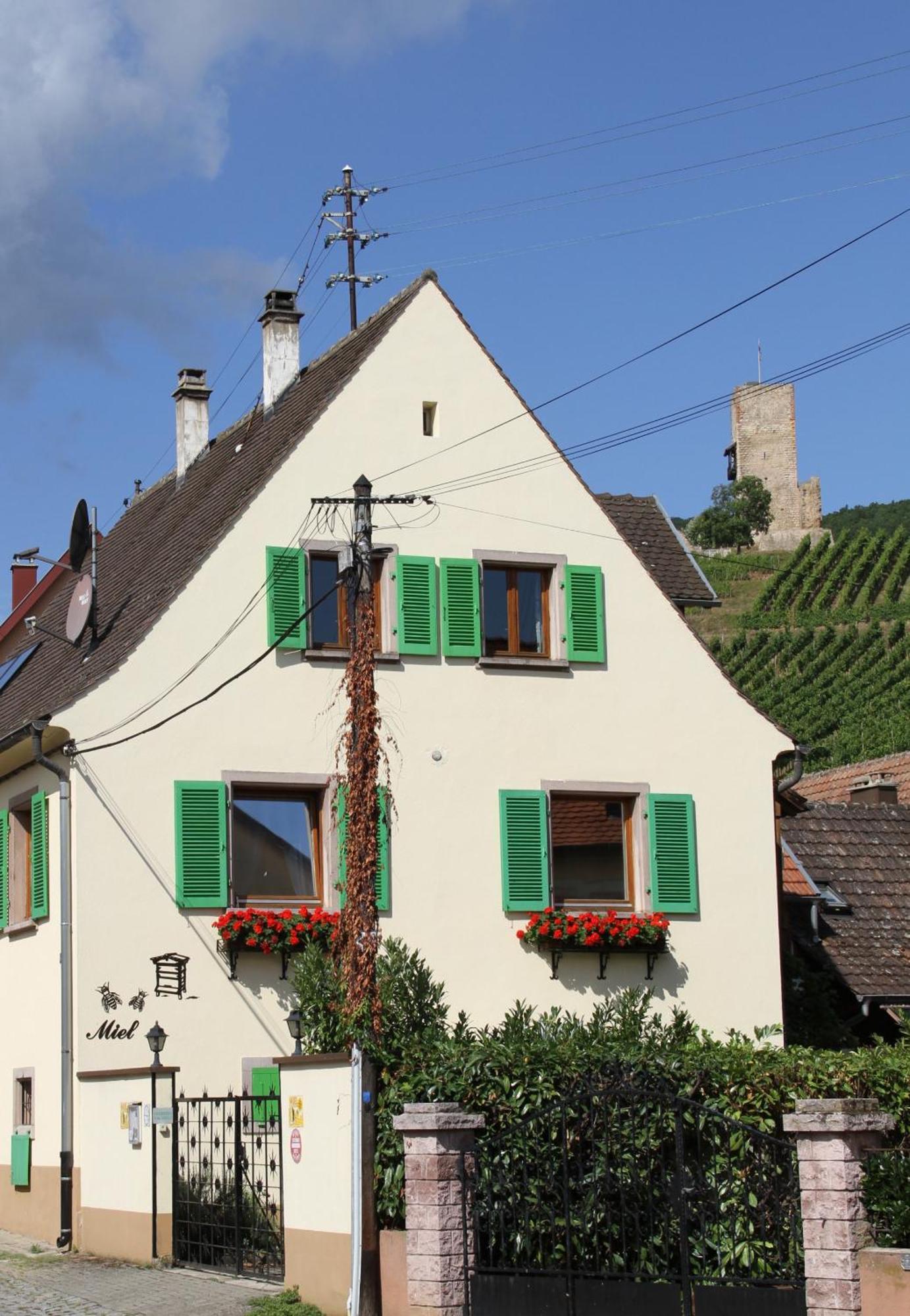 Les Gites 2-4 Pers Remy Herold Katzenthal Exterior photo
